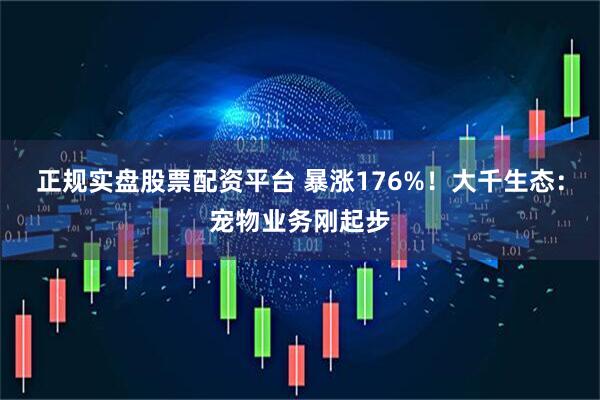 正规实盘股票配资平台 暴涨176%！大千生态：宠物业务刚起步