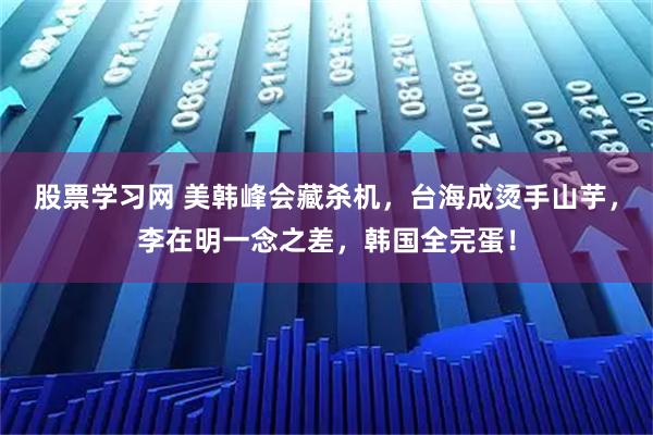 股票学习网 美韩峰会藏杀机，台海成烫手山芋，李在明一念之差，韩国全完蛋！